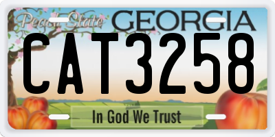 GA license plate CAT3258