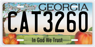 GA license plate CAT3260