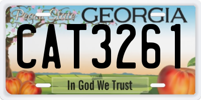 GA license plate CAT3261