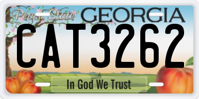 GA license plate CAT3262