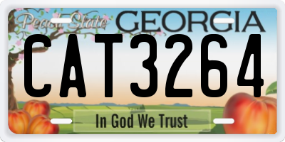 GA license plate CAT3264