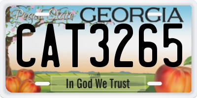 GA license plate CAT3265