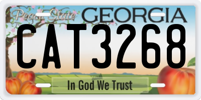 GA license plate CAT3268