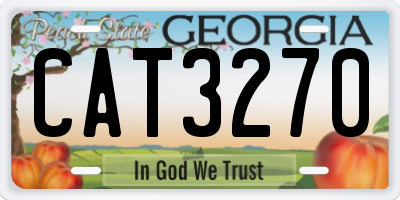 GA license plate CAT3270