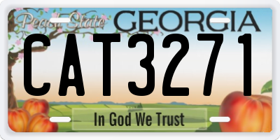 GA license plate CAT3271