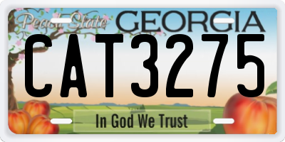 GA license plate CAT3275