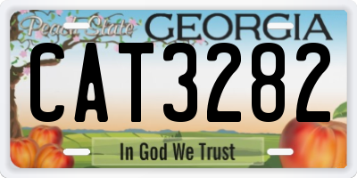 GA license plate CAT3282