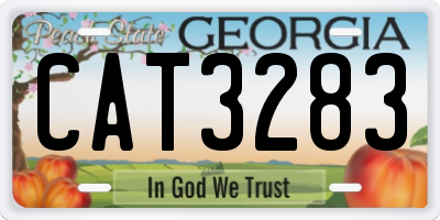 GA license plate CAT3283