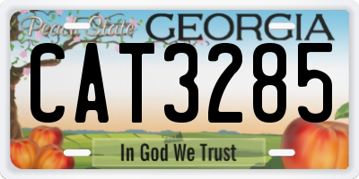 GA license plate CAT3285