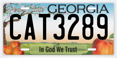 GA license plate CAT3289
