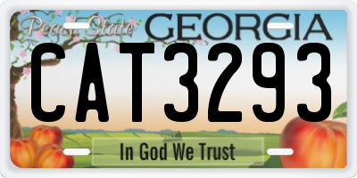GA license plate CAT3293