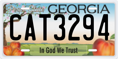 GA license plate CAT3294