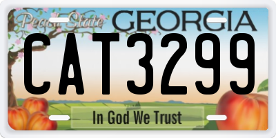 GA license plate CAT3299