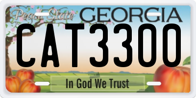 GA license plate CAT3300