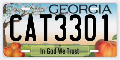 GA license plate CAT3301