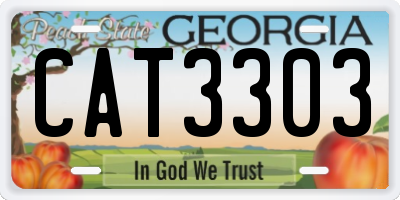 GA license plate CAT3303