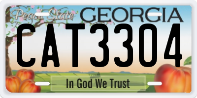 GA license plate CAT3304
