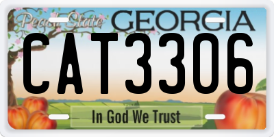 GA license plate CAT3306