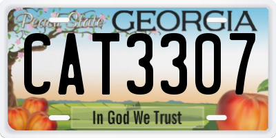 GA license plate CAT3307