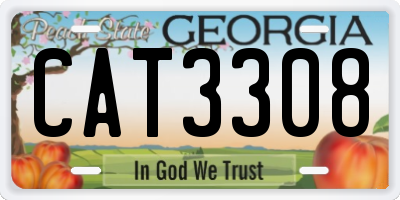 GA license plate CAT3308