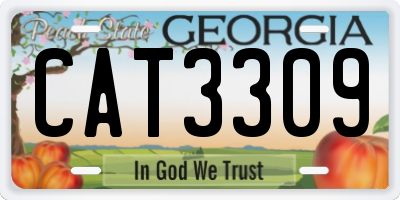 GA license plate CAT3309