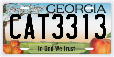 GA license plate CAT3313