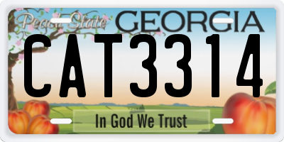 GA license plate CAT3314