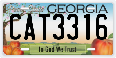 GA license plate CAT3316