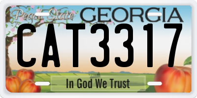 GA license plate CAT3317