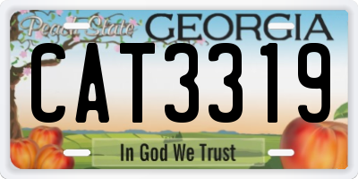 GA license plate CAT3319