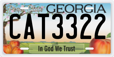 GA license plate CAT3322