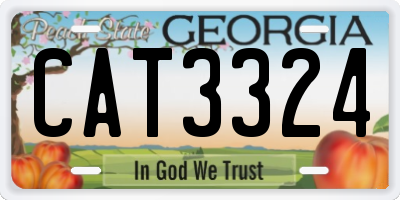 GA license plate CAT3324