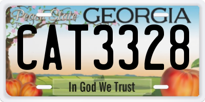 GA license plate CAT3328