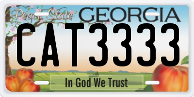 GA license plate CAT3333