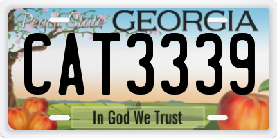 GA license plate CAT3339