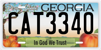 GA license plate CAT3340