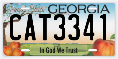 GA license plate CAT3341