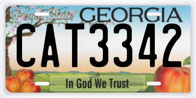 GA license plate CAT3342