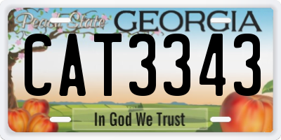 GA license plate CAT3343