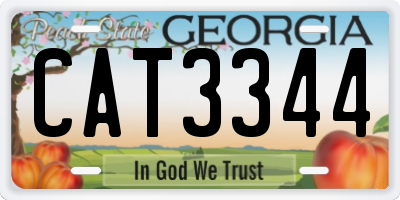 GA license plate CAT3344