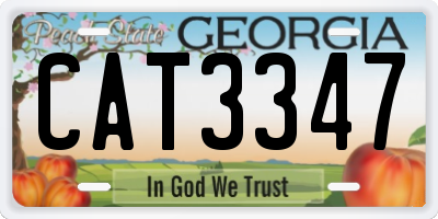 GA license plate CAT3347