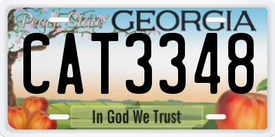 GA license plate CAT3348