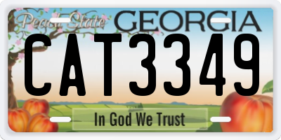 GA license plate CAT3349