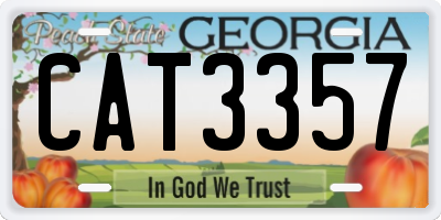 GA license plate CAT3357