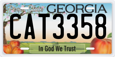 GA license plate CAT3358