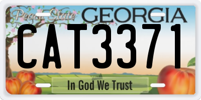 GA license plate CAT3371