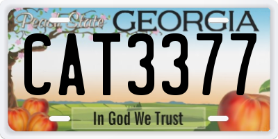 GA license plate CAT3377