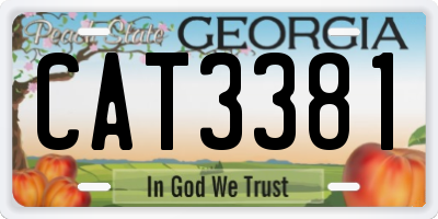 GA license plate CAT3381