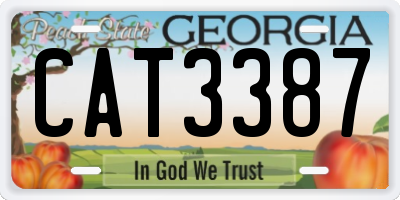GA license plate CAT3387
