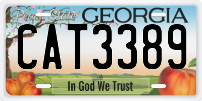 GA license plate CAT3389
